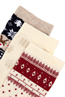 Pierre Cardin Kadın Çorap NOSEYILBASISKT.KRM