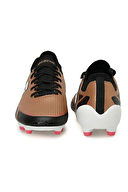 Lotto Erkek Ayakkabı ARBITRO FG BRONZ