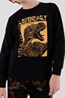 Roly Poly Erkek Çocuk Pijama Takımı RP3671-G.SYH