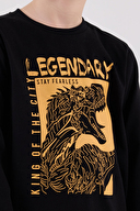 Roly Poly Erkek Çocuk Pijama Takımı RP3671-G.SYH