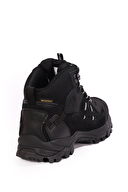 Gamelu Erkek Bot WANT