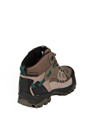 Gamelu Erkek Bot WANT