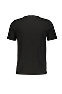 Lumberjack Erkek Tişört BASIC CT110