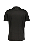 Lumberjack Erkek Polo Yaka Tişört SHERMAN CT461 SİYAH