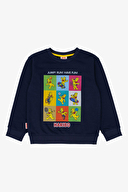 Haribo Erkek Çocuk Sweatshirt HRBTXT301-301C