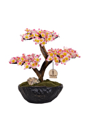Omnia Bonsai-2 CLPSBNS002