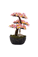 Omnia Bonsai-2 CLPSBNS002