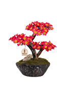 Omnia Calipso Bonsai-2-1 CLPSBNS021