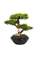 Omnia Calipso Bonsai CLPSBNS001