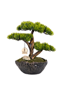 Omnia Calipso Bonsai CLPSBNS003