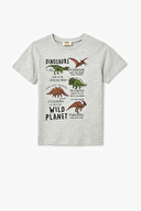 Koton Erkek Çocuk Tişört 5SKB10092TK