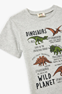 Koton Erkek Çocuk Tişört 5SKB10092TK