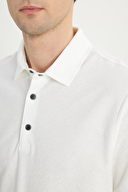 Altınyıldız Classics Erkek Tişört ACE091252009