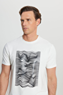 Altınyıldız Classics Erkek Tişört ACE091252408