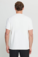 Altınyıldız Classics Erkek Tişört ACE091252408