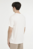 Lumberjack Erkek Tişört RENATO 11ITL1019