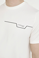 Lumberjack Erkek Tişört RENATO 11ITL1019