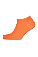 Lumberjack Çorap WB LITTON 5LI 32CT559