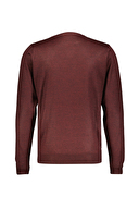 Diandor Erkek Triko 2425001