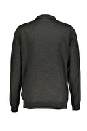 Diandor Erkek Triko 2425004