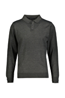 Diandor Erkek Triko 2425003