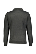 Diandor Erkek Triko 2425003