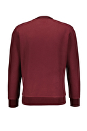 Diandor Erkek Sweatshirt 2425201