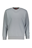 Diandor Erkek Sweatshirt 2425202
