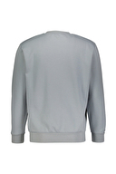 Diandor Erkek Sweatshirt 2425202