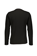 Diandor Erkek Sweatshirt 2425203