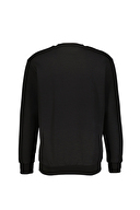 Diandor Erkek Sweatshirt 2425206