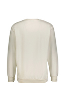 Diandor Erkek Sweatshirt 2425206