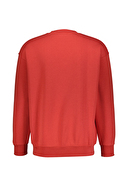 Diandor Erkek Sweatshirt 2425208