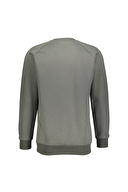 Diandor Erkek Sweatshirt 2425209