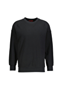Diandor Erkek Sweatshirt 2425213