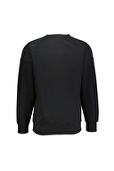 Diandor Erkek Sweatshirt 2425213