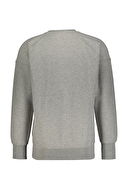 Diandor Erkek Sweatshirt 2425213
