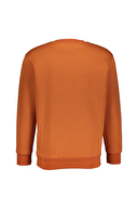 Diandor Erkek Sweatshirt 2425215