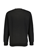 Diandor Erkek Sweatshirt 2425224
