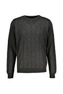 Diandor Erkek Triko 2425007