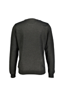 Diandor Erkek Triko 2425007