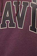 Mavi Erkek Sweatshirt M067149-70260