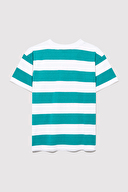 Mavi Erkek Çocuk Tişört M6610292-89156