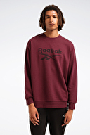 Reebok Erkek Sweatshirt LC 8000