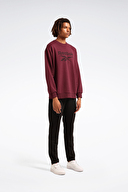 Reebok Erkek Sweatshirt LC 8000