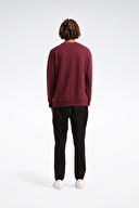 Reebok Erkek Sweatshirt LC 8000