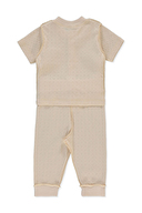 Bebetto Bebek Takım F1466