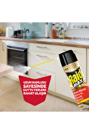 Raid Böcek Savar Max 300 ml