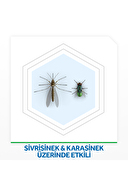 Raid Sinek Savar Gece Gündüz Sistem 240 Saat