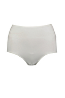 Çift Kaplan Kadın Külot 665